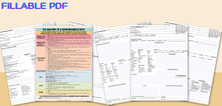 The Practice Pantry: Comprehensive Progress Note Bundle (DAP, SOAP, BIRP)